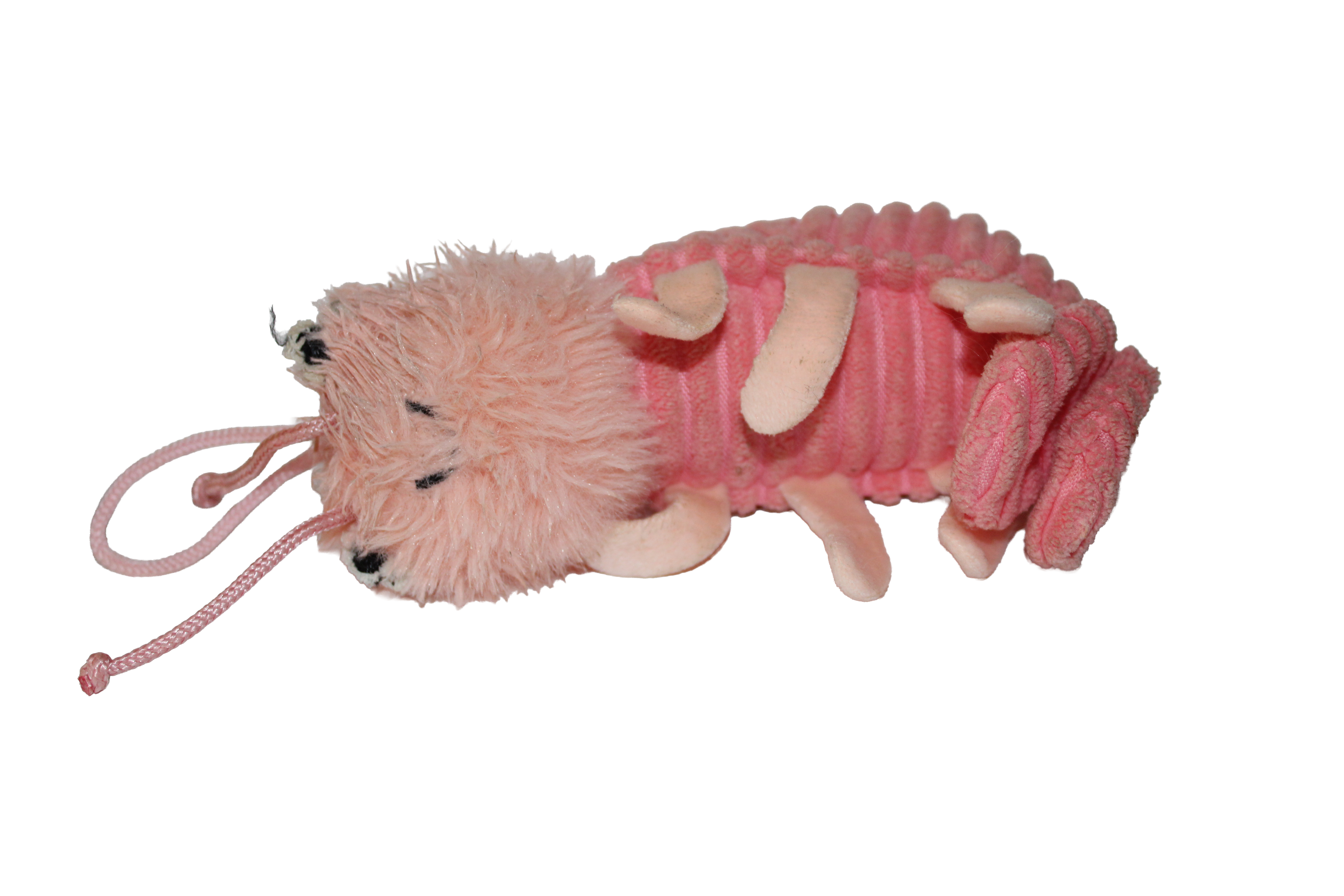 shrimp dog toy